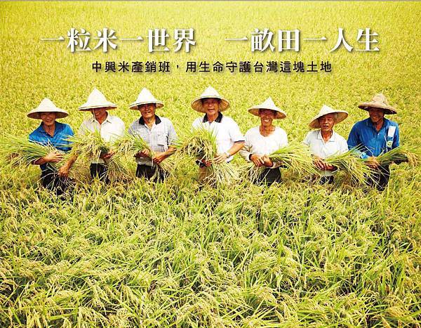 01迎賓主牆 01迎賓主牆