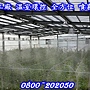 溫室灑水
