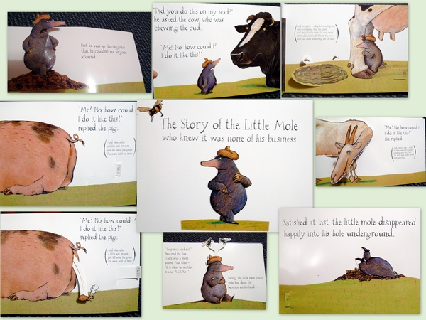 Oscar1Y.jpg Oscar1Y.jpg