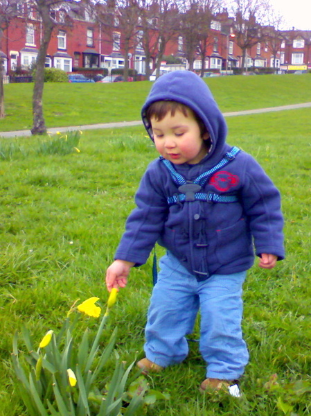 DSC00711.JPG DSC00711.JPG