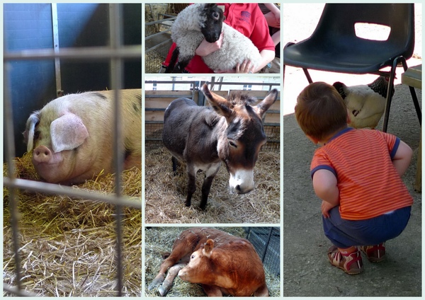 bank holiday.jpg bank holiday.jpg