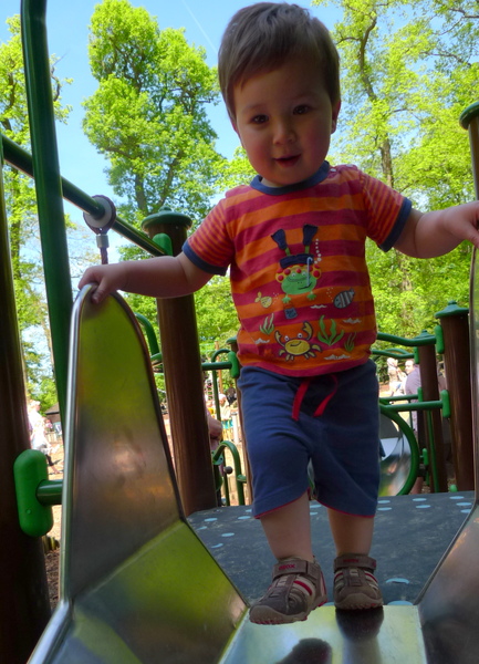 P1020115.JPG P1020115.JPG