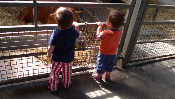 P1020097.JPG P1020097.JPG