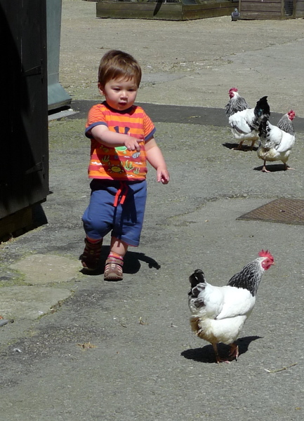 P1020103.JPG P1020103.JPG