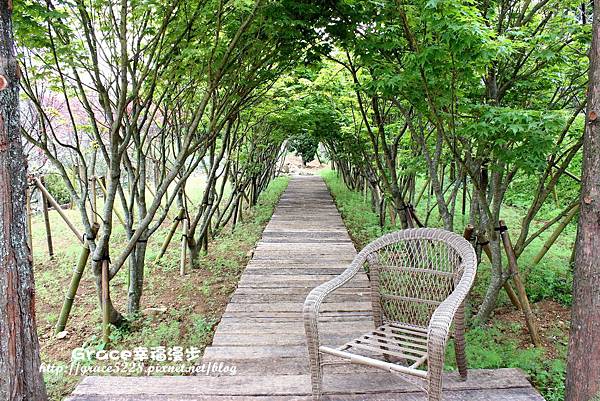 PhotoCap_IMG_0174 PhotoCap_IMG_0174