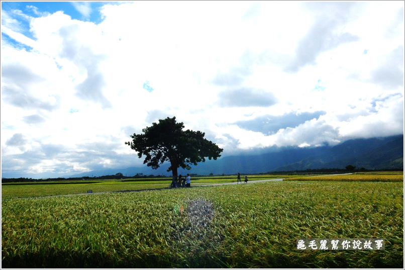 DSC_7607 DSC_7607