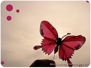 030.gif 030.gif
