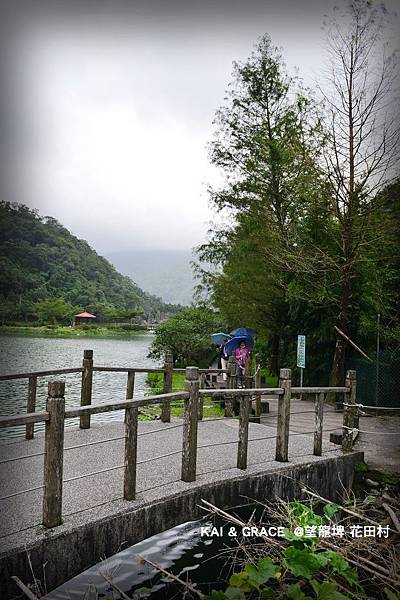 員山望龍埤~下一站幸福之花田村