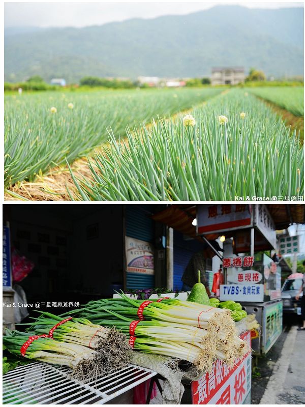 宜蘭三星天送埤羅家蔥捲餅~羅東民宿葛瑞絲~