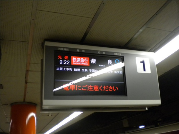 DSCN1232 [800x600].jpg