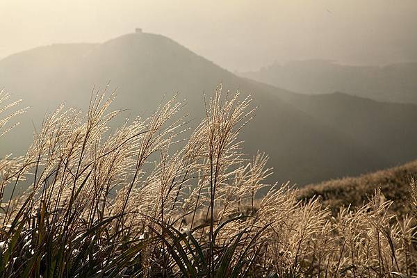 [風景攝影]陽明山大屯主峰賞芒草-3