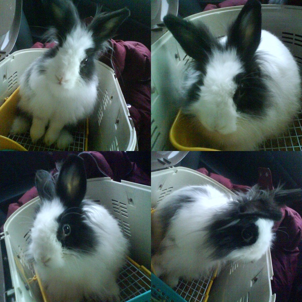 四連拍!! 四連拍!!