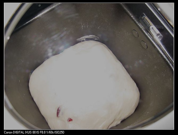 IMG_1095.jpg IMG_1095.jpg