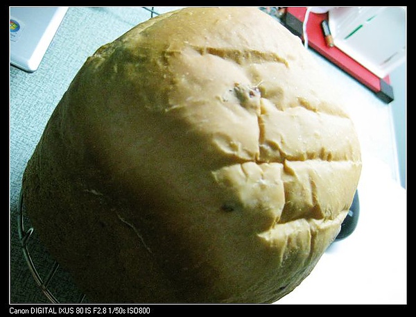 IMG_1098.jpg IMG_1098.jpg