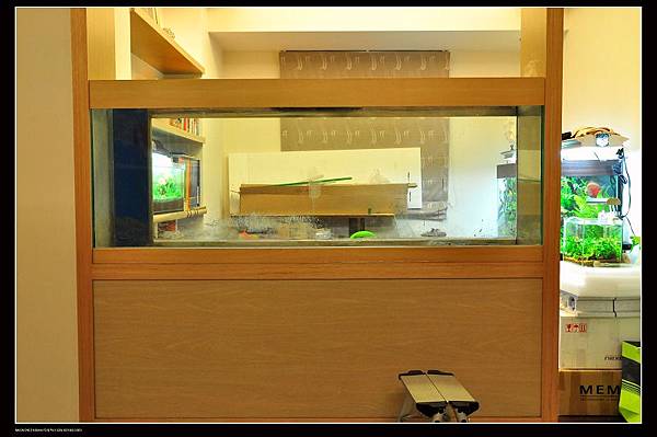 nEO_IMG_DSC_7989 nEO_IMG_DSC_7989