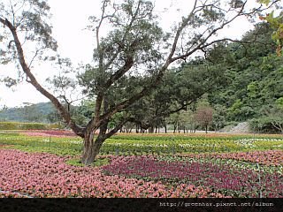 b100008ab9_ b100008ab9_