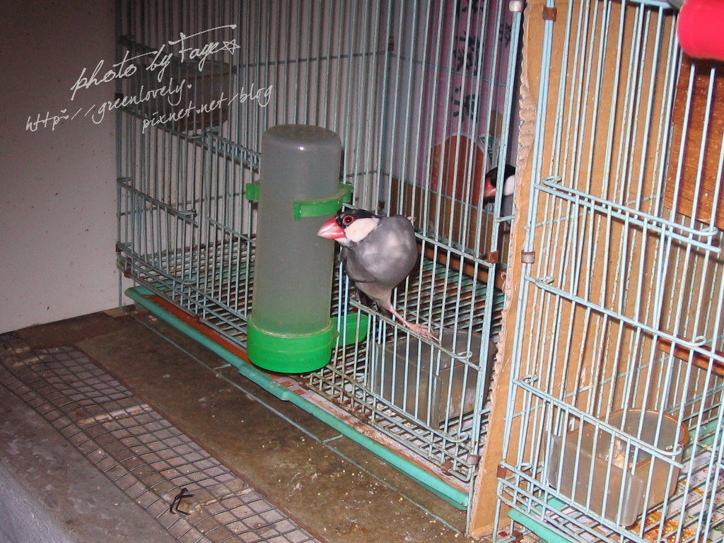 IMG_2020 IMG_2020