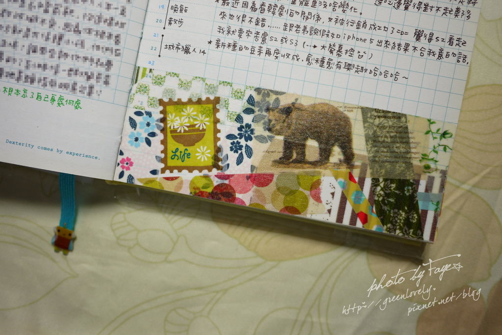 P1040284 P1040284