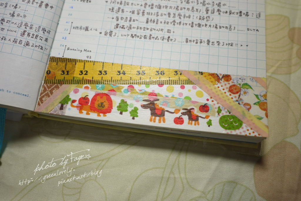 P1040295 P1040295