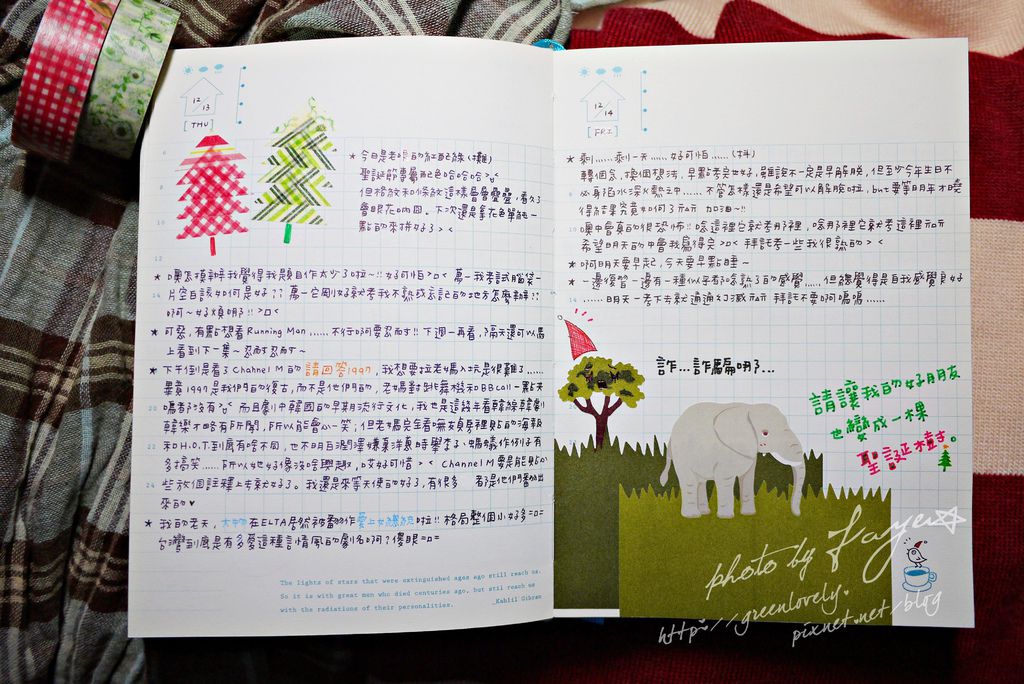 P1050519 P1050519