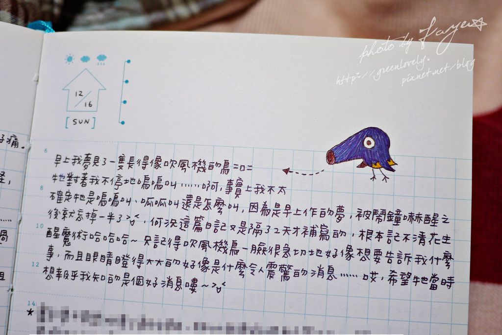 P1050526 P1050526