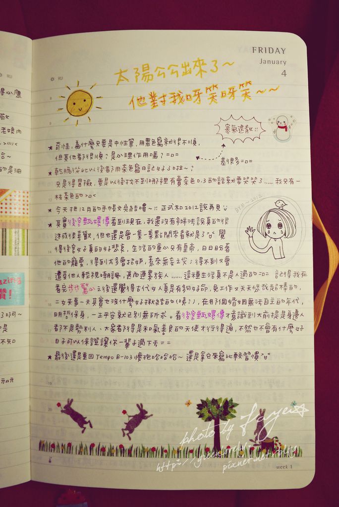 P1050591 P1050591