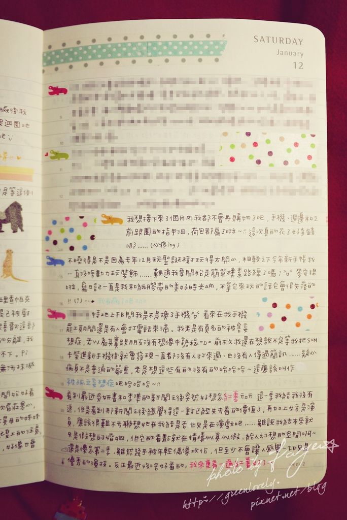 P1050608 P1050608