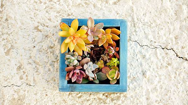 DSC06869.JPG DSC06869.JPG