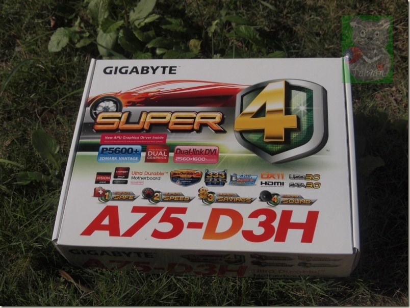 A01-t A01-t
