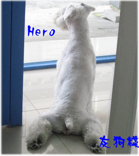 可愛坐姿hero.jpg