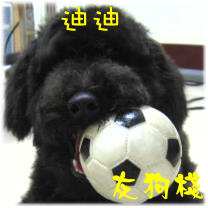迪迪圖示.jpg 迪迪圖示.jpg
