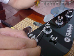 bass_strings06 bass_strings06