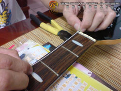 bass_strings07 bass_strings07