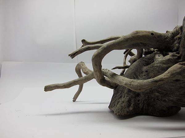 IMG_0028.JPG IMG_0028.JPG