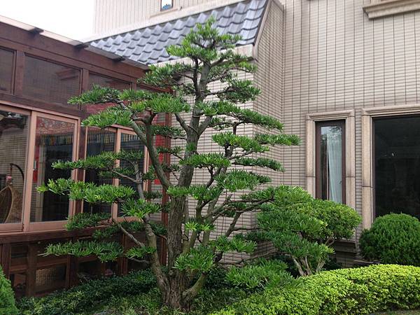 IMG_2084 IMG_2084