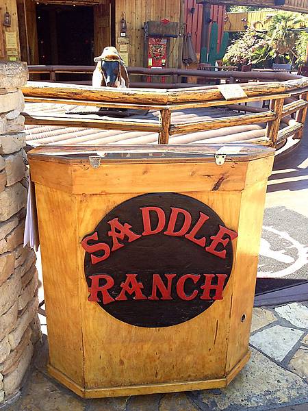 saddle saddle