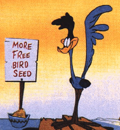 road_runner_cartoon road_runner_cartoon