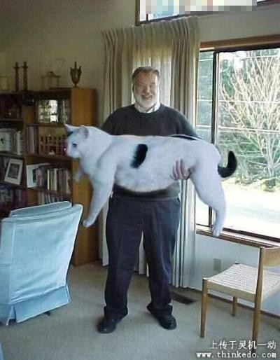 2.jpg 2.jpg
