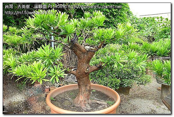 c8726e92361ddcfe682b7ef1ac45a636.jpg c8726e92361ddcfe682b7ef1ac45a636.jpg