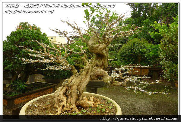 P1280592.jpg P1280592.jpg