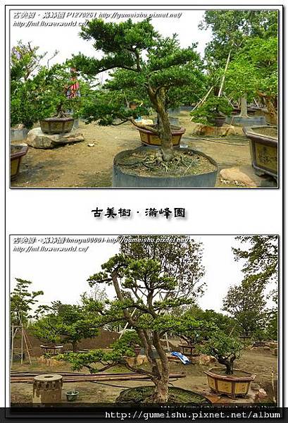 Image00002.jpg Image00002.jpg