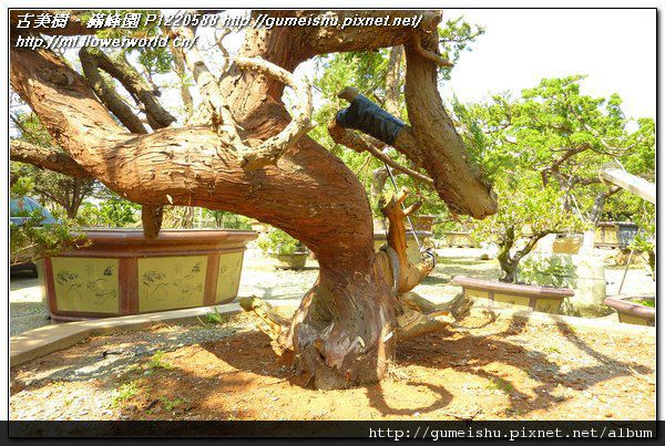 P1220588.jpg P1220588.jpg