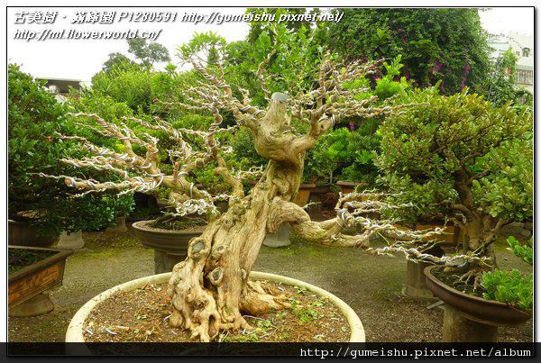 P1280591.jpg P1280591.jpg