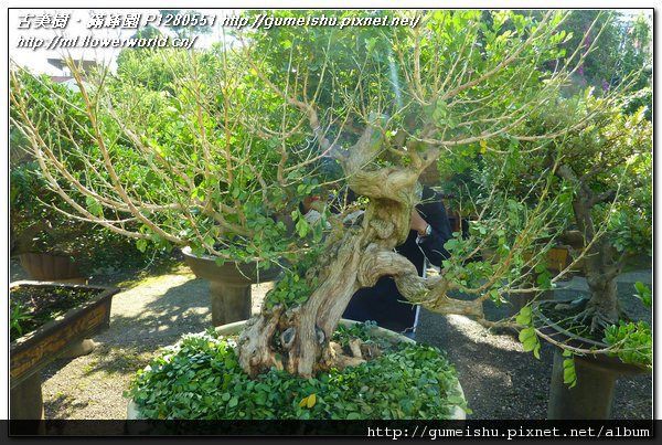 P1280551.jpg P1280551.jpg