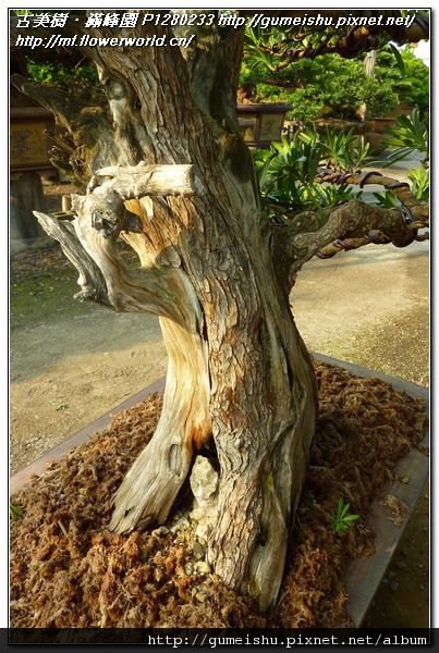 P1280233.jpg P1280233.jpg