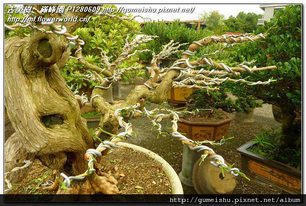 P1280609.jpg P1280609.jpg