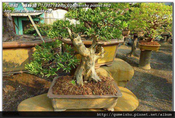 P1280214.jpg P1280214.jpg