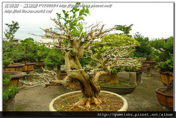 P1280604.jpg P1280604.jpg