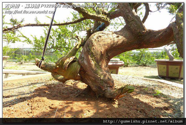 P1220586.jpg P1220586.jpg