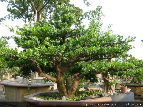 P1020900.JPG P1020900.JPG